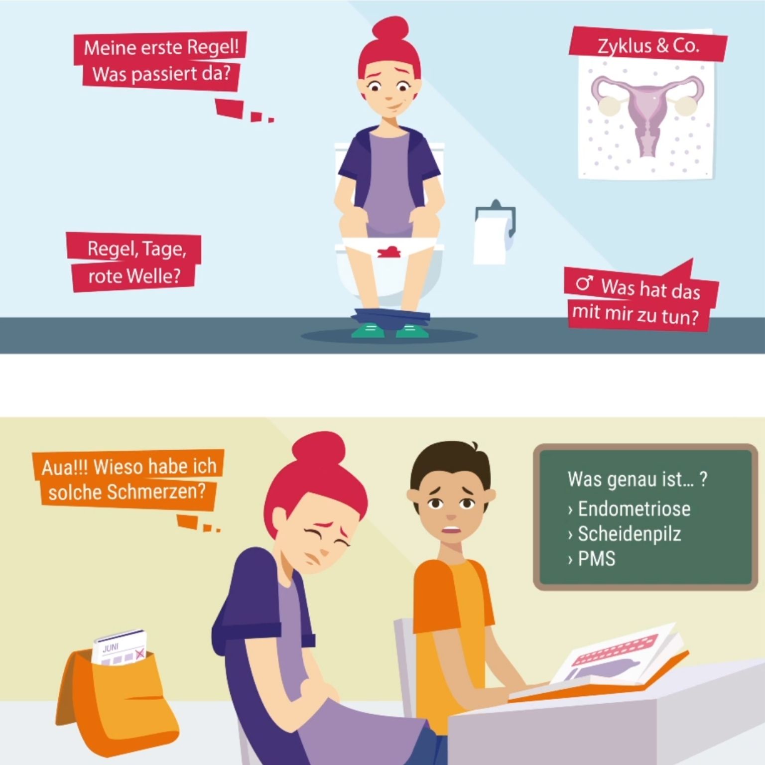 Lernplattform Zykluswissen – Bild 3