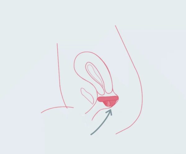 Premium Menstruationsscheibe <br>. Swiss made – Bild 6