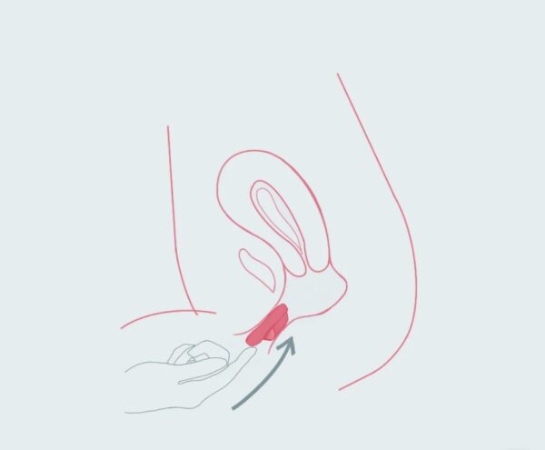 Premium Menstruationsscheibe <br>. Swiss made – Bild 5