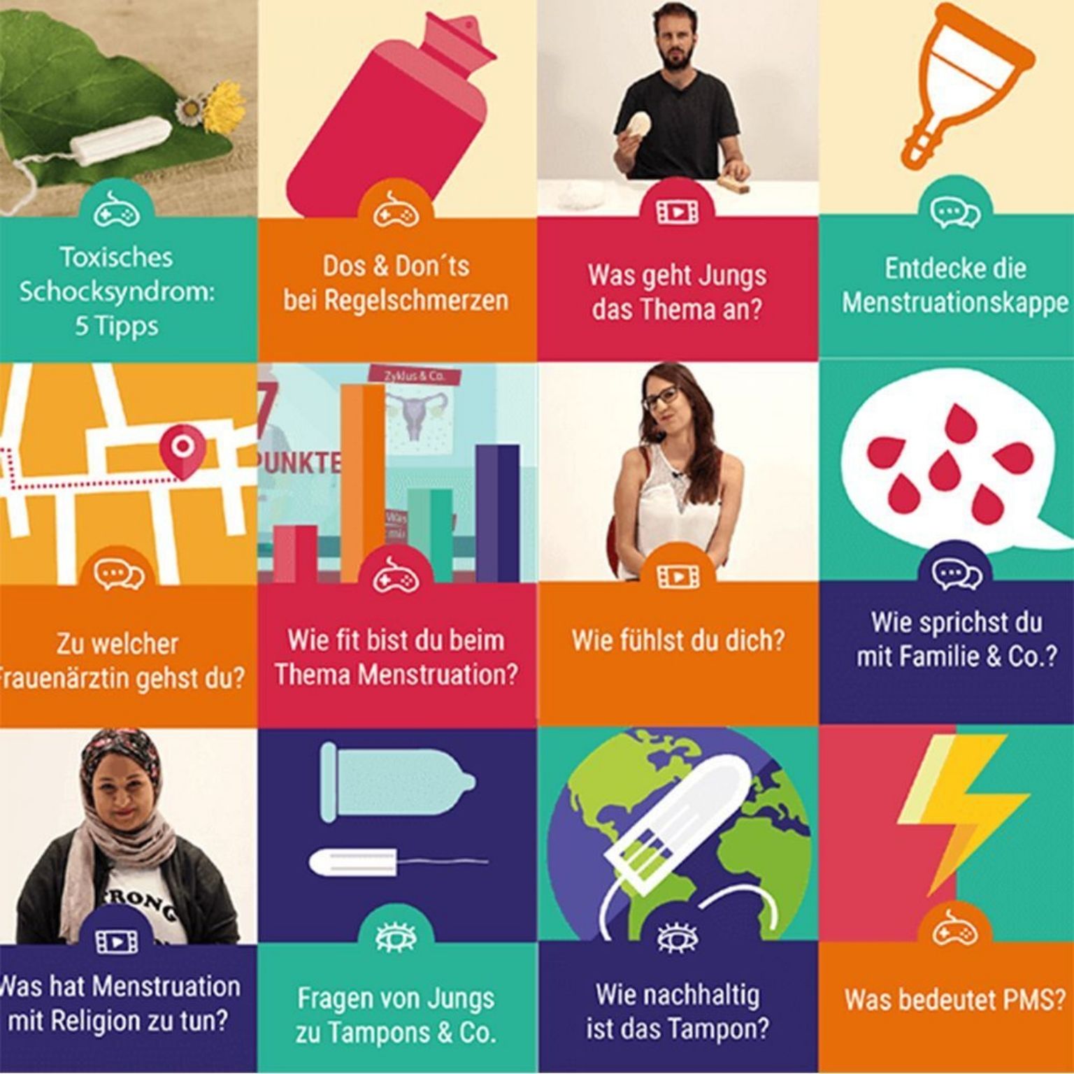 Lernplattform Zykluswissen – Bild 2