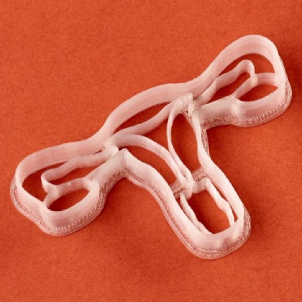 Uterus_Keksausstecher_Biocraftlab_Rotmarie