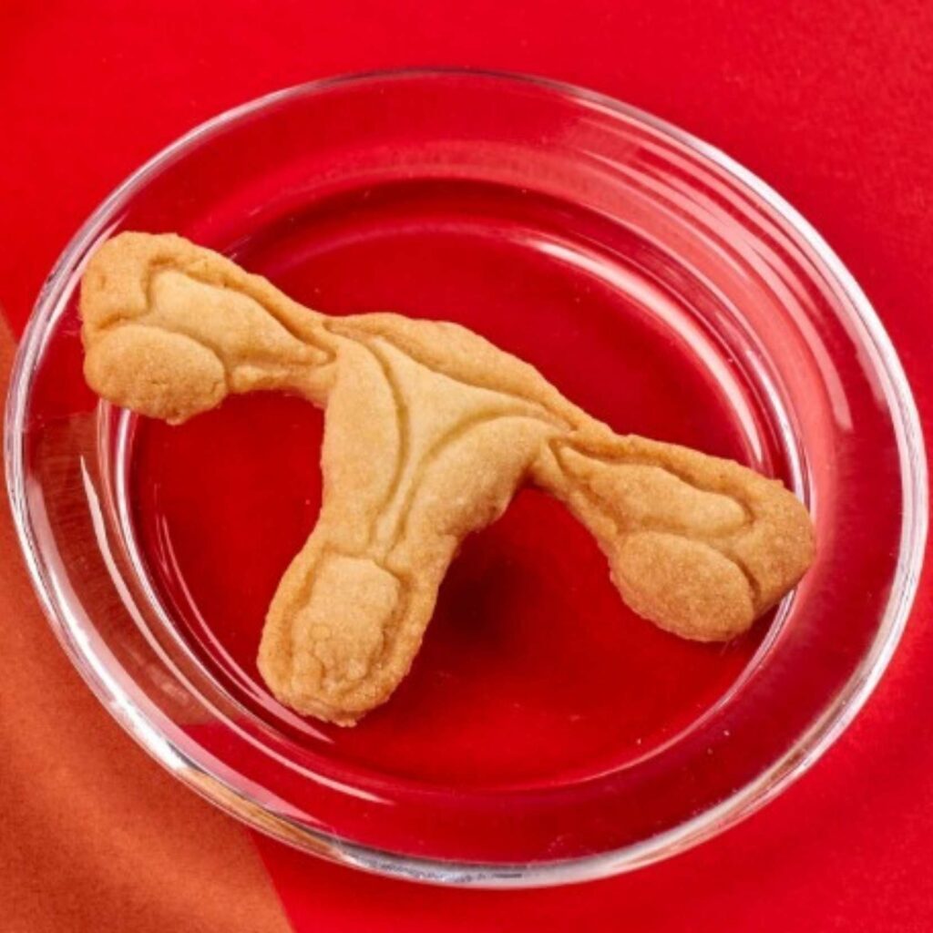 Uterus_Kekse_Rotmarie