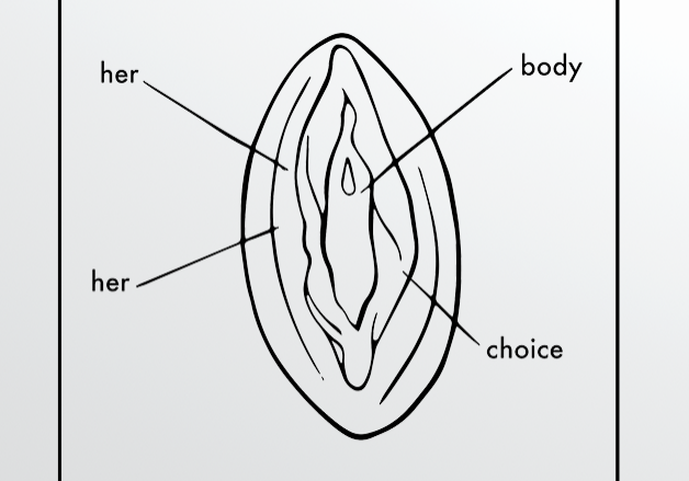 Vulvaprint_her_body_her_choice_Benutzt_Rotmarie
